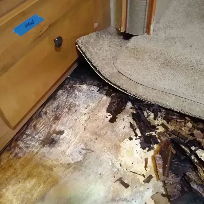 Best Wood Floor Water Damage Service in Bainbridge, GA